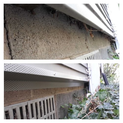 Siding Exclusion, mouse exterminator near me