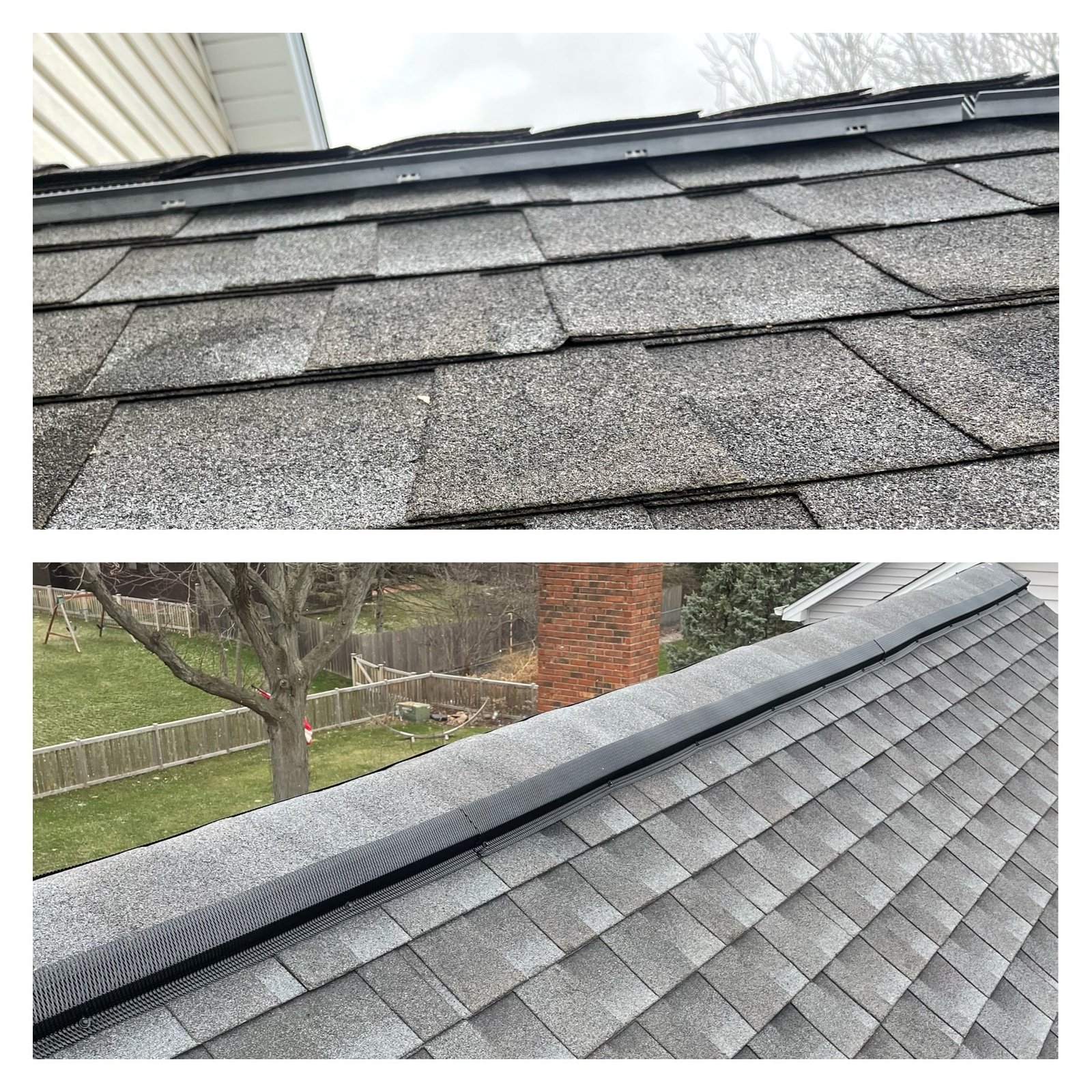 Mouse Exclusion, Mouse exterminator near me