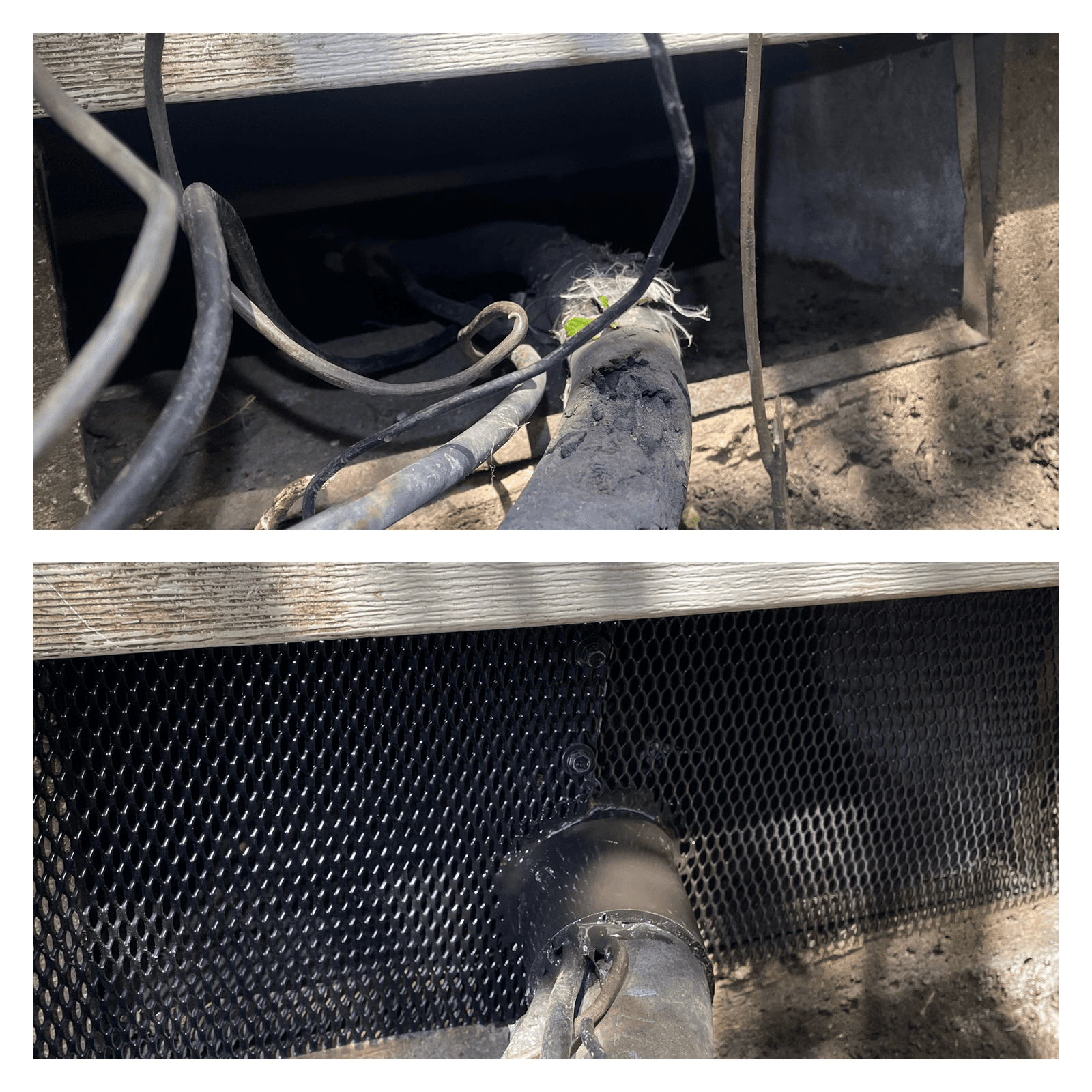 Vent Repair, Mouse Exclusion, Mouse Exterminator near me