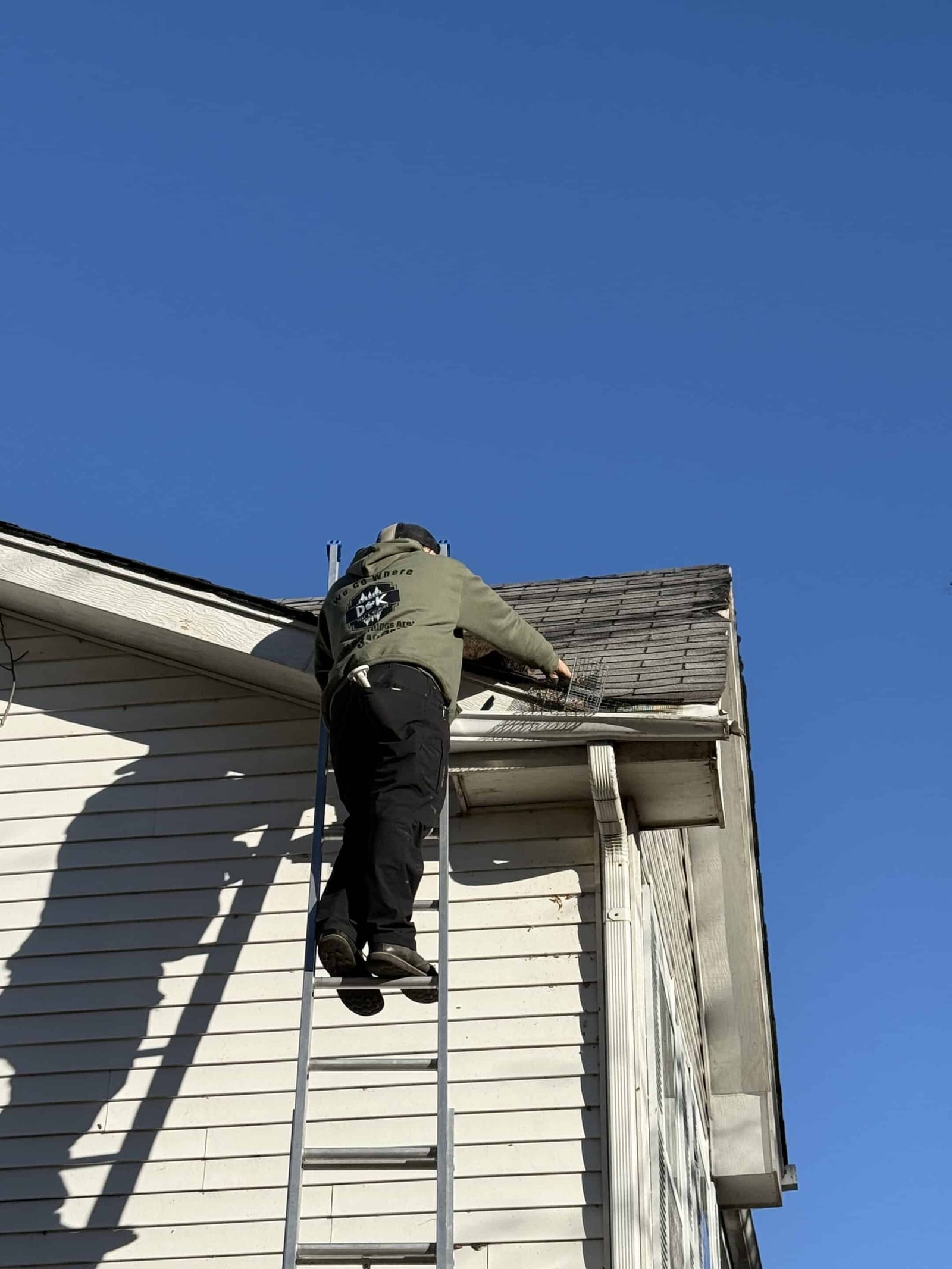 Wildlife Removal Napeville